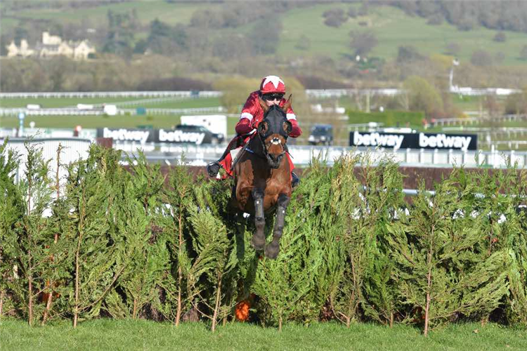 TIGER ROLL winning the Glenfarclas Chase (Cross Country Chase) (GBB Race).