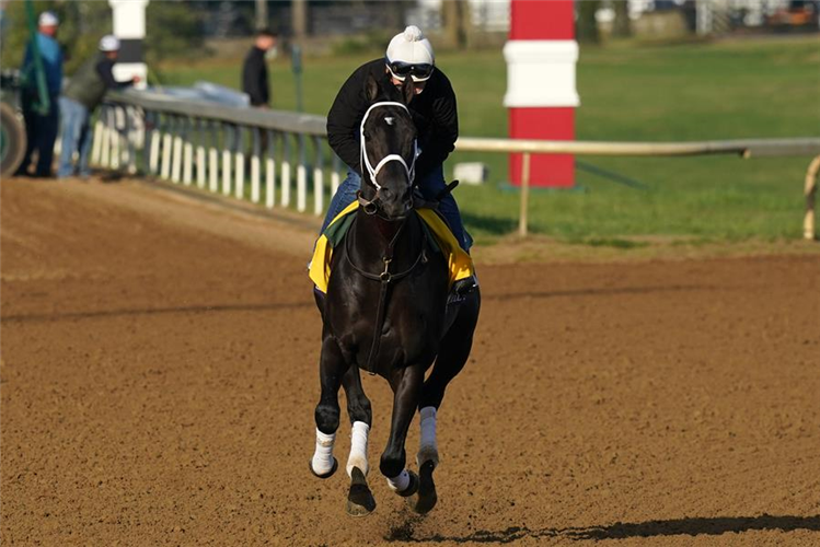 Title Ready preparing for the Breeders' Cup Classic