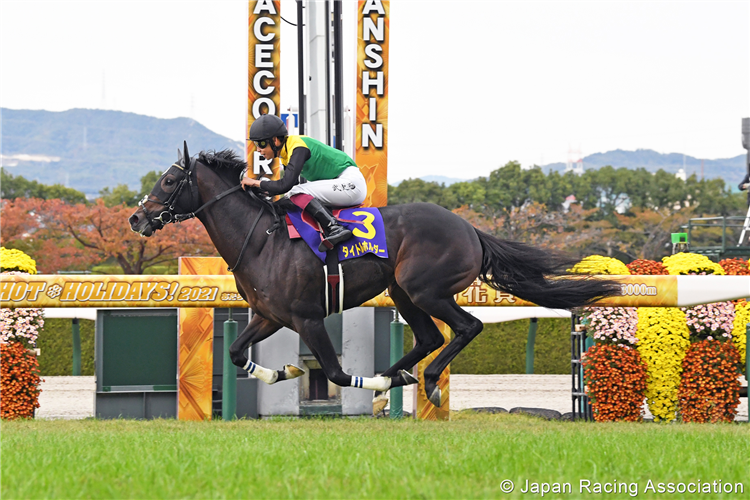 TITLEHOLDER winning the Kikuka Sho at Hanshin in Japan.