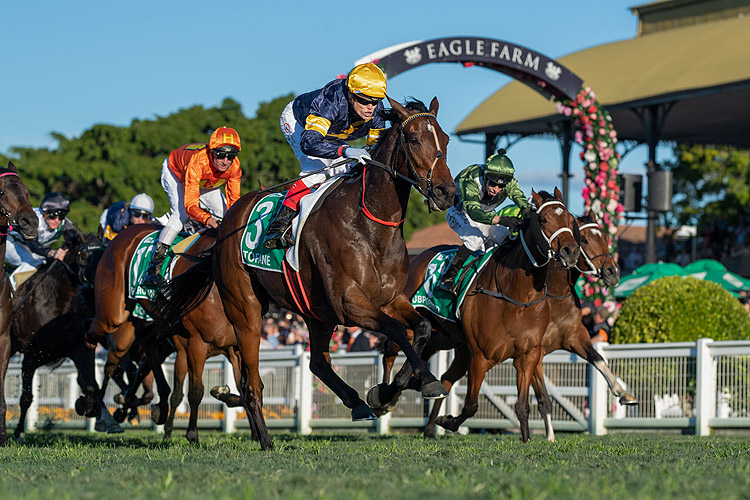 TOFANE winning the Tab Stradbroke Hcp