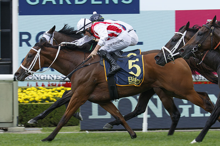 Sky High Stakes Past Winners Results Australia Racing And Sports