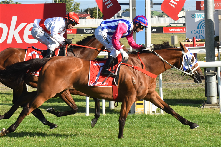 TOORAK AFFAIR winning the Kevin Sharkie Tasmanian Stakes