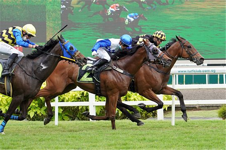 TRUMPY winning the BETTER LIFE 2013 STAKES KRANJI STAKES C