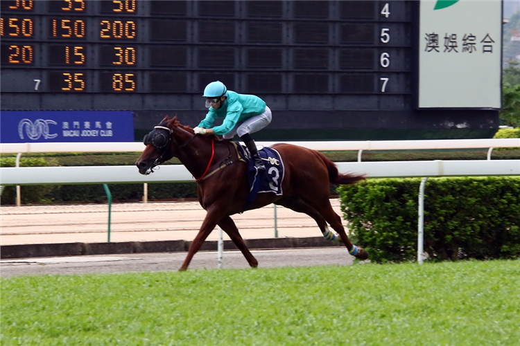 TURQUOISE SUCCESS winning the THE DUNHUANG