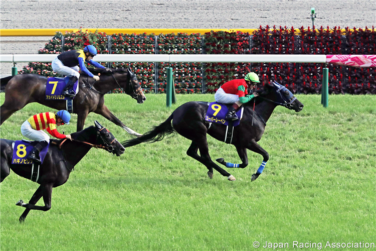 UBERLEBEN winning the Yushun Himba (Japanese Oaks) at Tokyo in Japan.