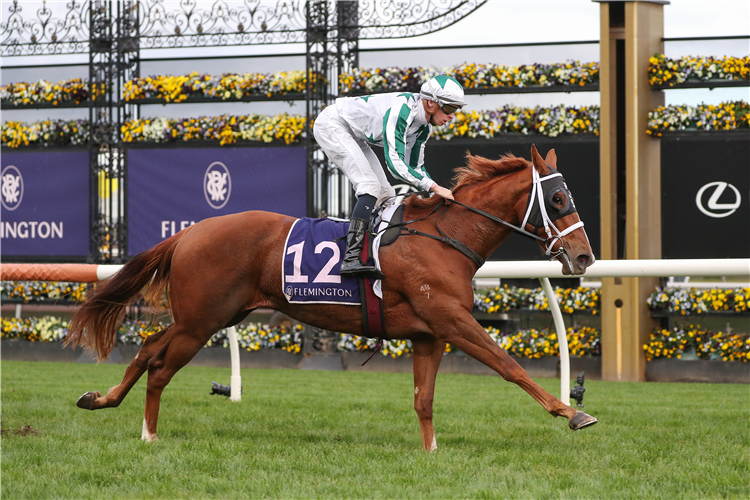 UNIQUE ARTIST winning the Sir Henry Bolte Hcp at Flemington in Australia.