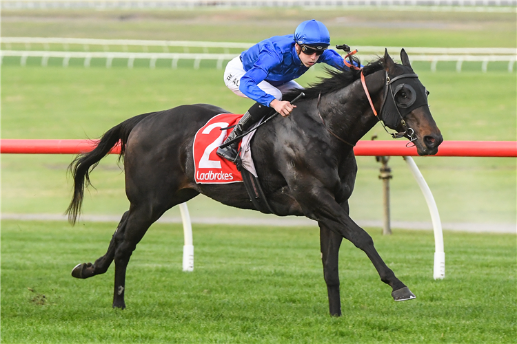 VALAQUENTA winning the Easy Form Hcp at Sandown Hillside in Australia.