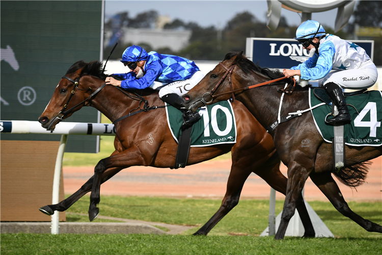 VANGELIC winning the Golden Pendant at Rosehill in Australia.