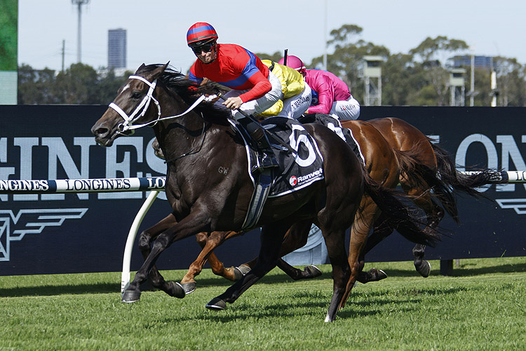 VERRY ELLEEGANT winning the Ranvet Stakes