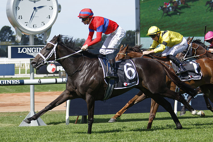 VERRY ELLEEGANT winning the Ranvet Stakes