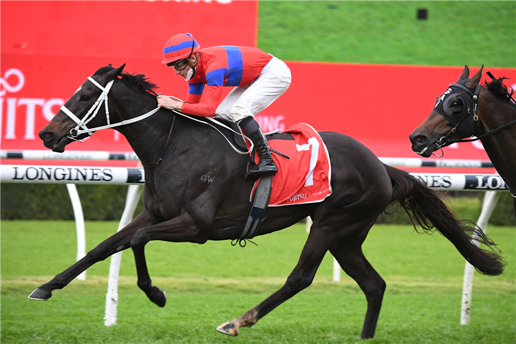 VERRY ELLEEGANT winning the Fujitsu General George Main at Randwick in Australia.