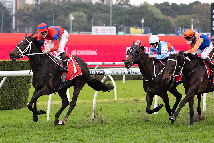 VERRY ELLEEGANT winning the Fujitsu General George Main