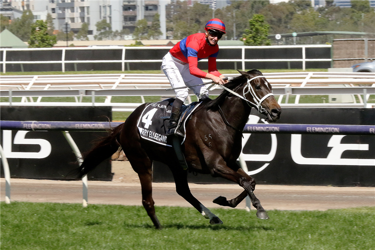 VERRY ELLEEGANT winning the Lexus Melbourne Cup at Flemington in Australia.