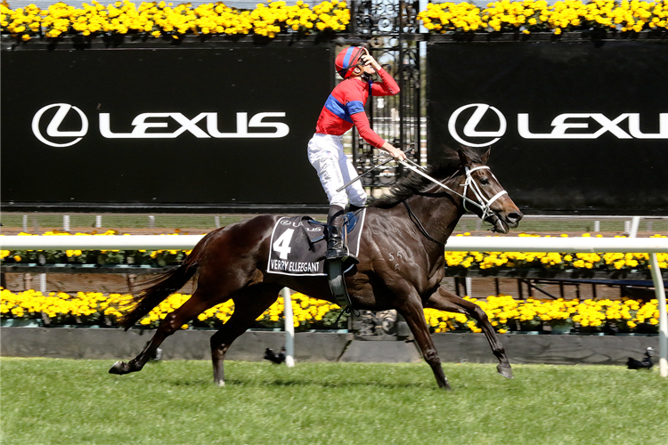 VERRY ELLEEGANT winning the Melbourne Cup at Flemington in Australia.