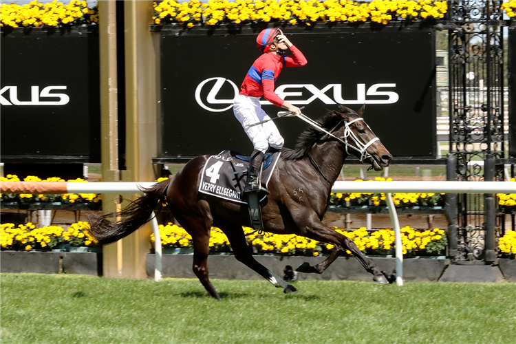 VERRY ELLEEGANT winning the Lexus Melbourne Cup at Flemington in Australia.