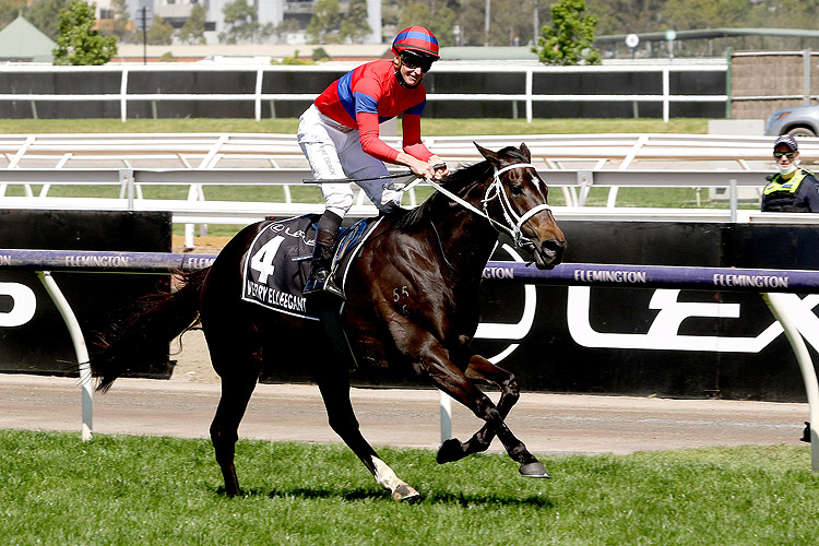 VERRY ELLEEGANT winning the Lexus Melbourne Cup