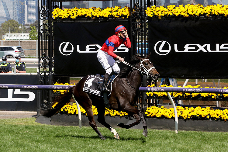 VERRY ELLEEGANT winning the Melbourne Cup.