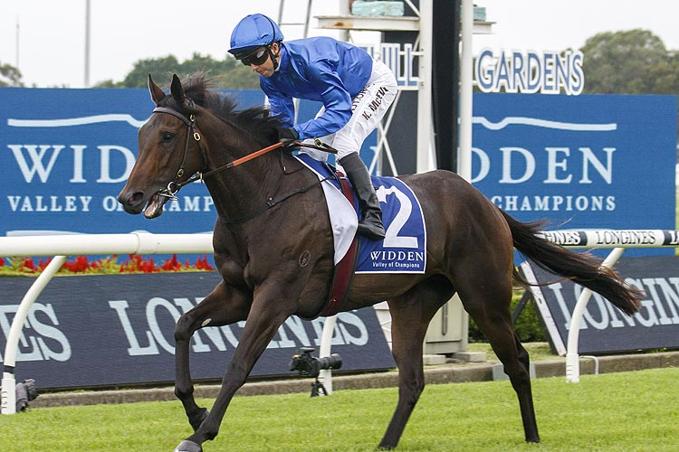 VIANELLO running in the Widden Stakes