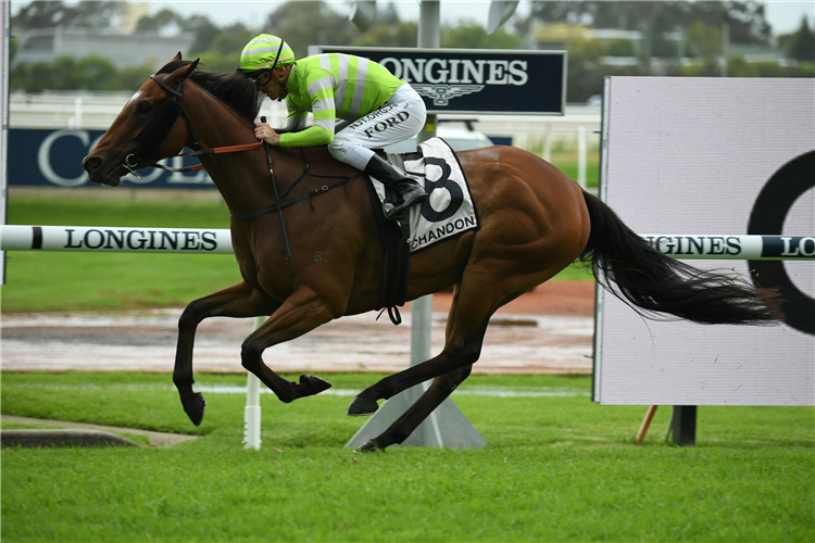 VULPINE winning the Chandon Starlight Stakes at Rosehill in Australia.