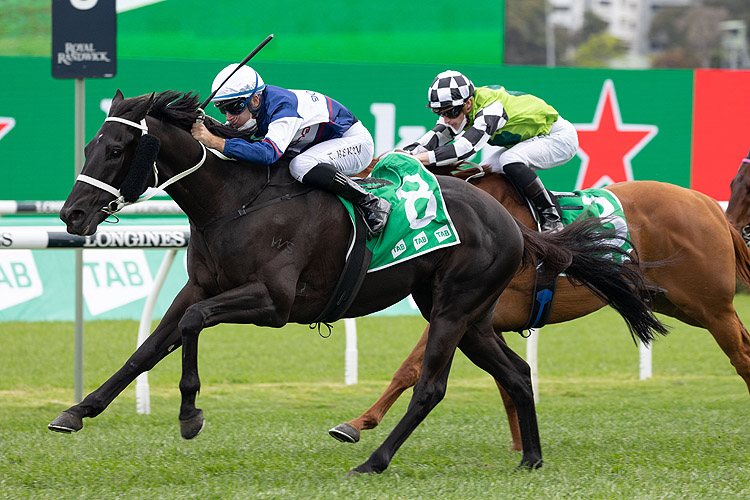 WAIRERE FALLS winning the Tab (Bm88)