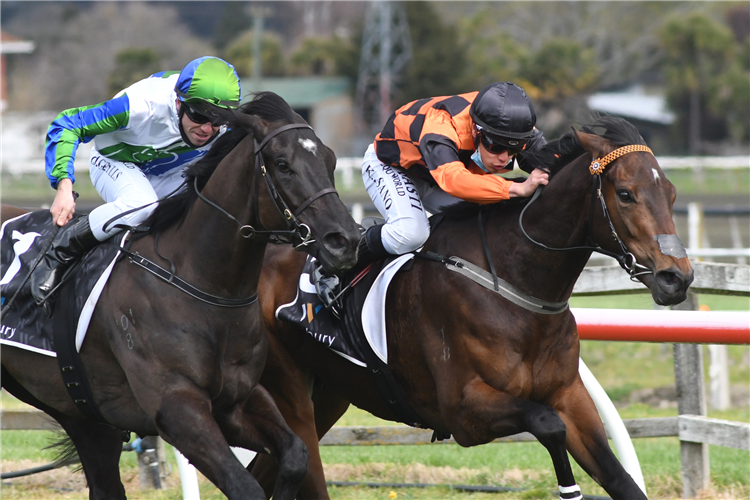 WAKARI (right) winning the El Roca-Sir Colin Meads Trophy