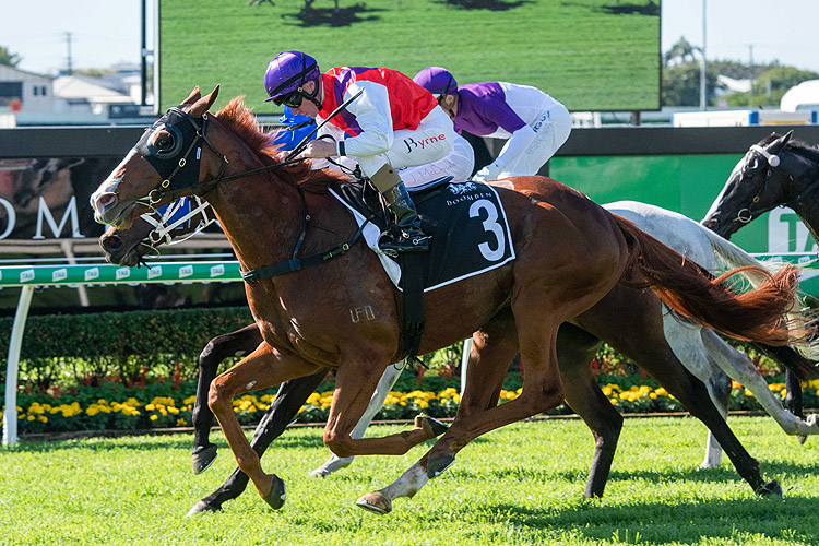 WARNING winning the Jra Chairman's Trophy