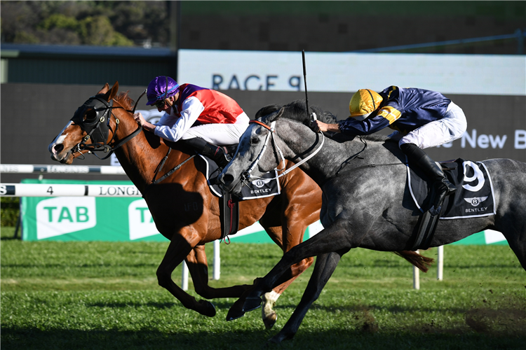 WARNING winning the St Leger Stks at Randwick in Australia.