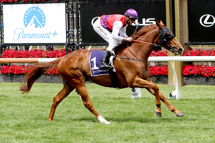 WARNING winning the Queen Elizabeth Stakes