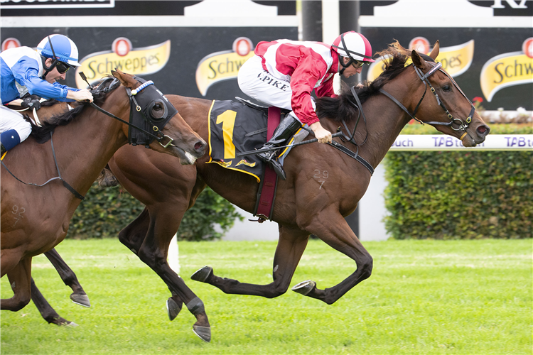 WESTERN EMPIRE winning the Schweppes - W.A.T.C. Derby