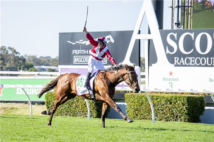 WESTERN EMPIRE winning the Heineken 3-Railway Stakes