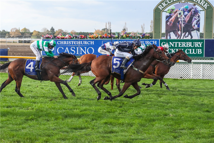 WHALE SONG (inner red)winning the Christchurch Casino Easter Cup