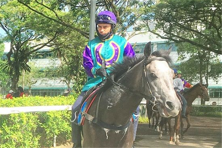 A buzzed-up Whiz Fizz (Juan Paul van der Merwe) heads out to his barrier trial on Thursday.