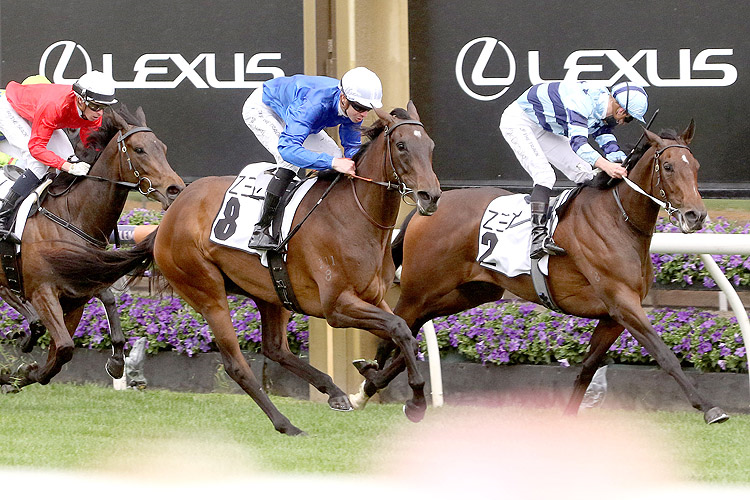 WILLOWY winning the Zed Run Wakeful Stks