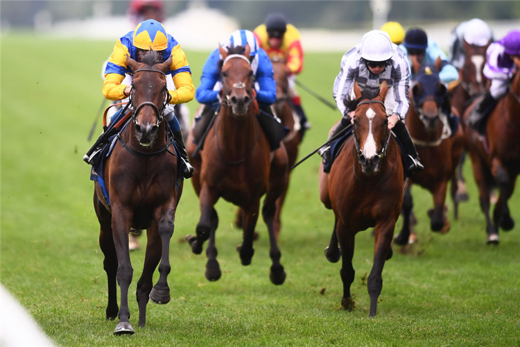 WONDERFUL TONIGHT (L) winning the Hardwicke Stakes at Ascot in England.