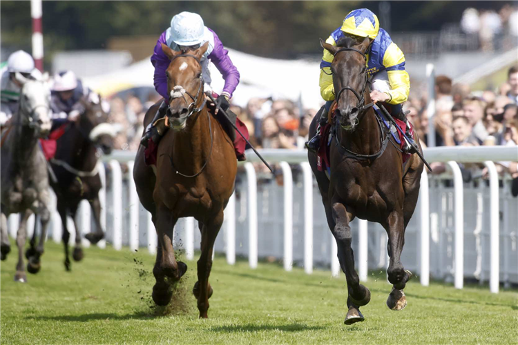 WONDERFUL TONIGHT (yellow) winning the Qatar Lillie Langtry Stakes (Fillies' And Mares' Group 2)