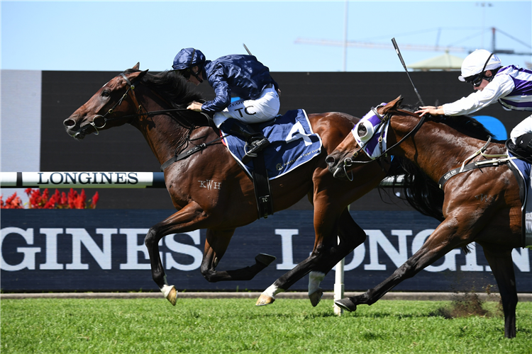 YALETOWN winning the Tulloch Stakes at Rosehill in Australia.