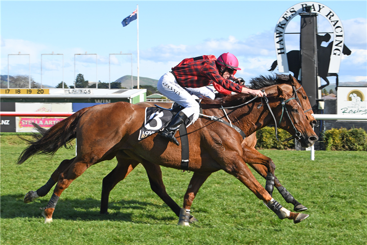 YARDARM winning the Grant Plumbing Wellington Stpl