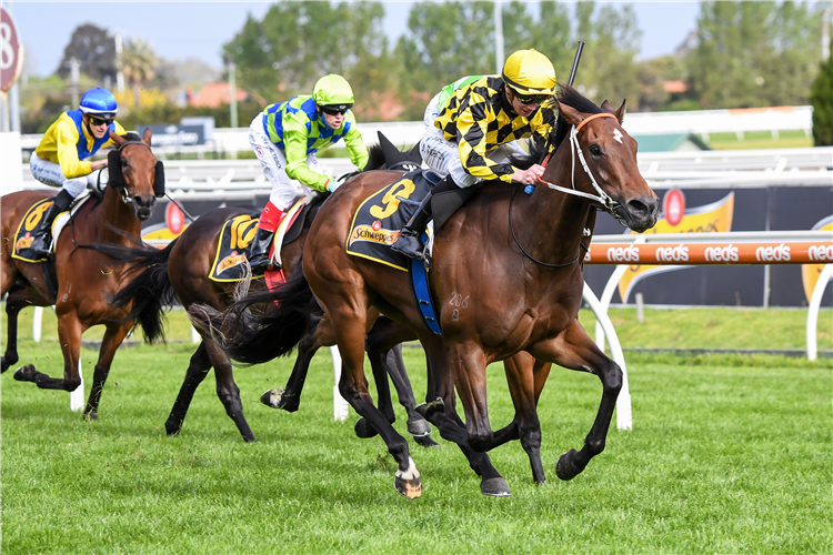 YEARNING  winning the Schweppes Thousand Guineas in Caulfield, Australia. 