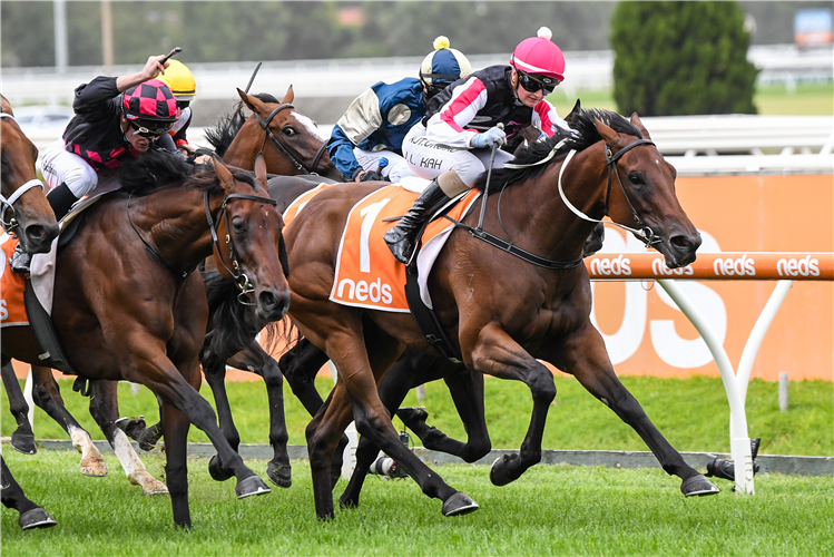 YES BABY YES winning the Angus Armanasco Stakes at Caulfield in Australia.