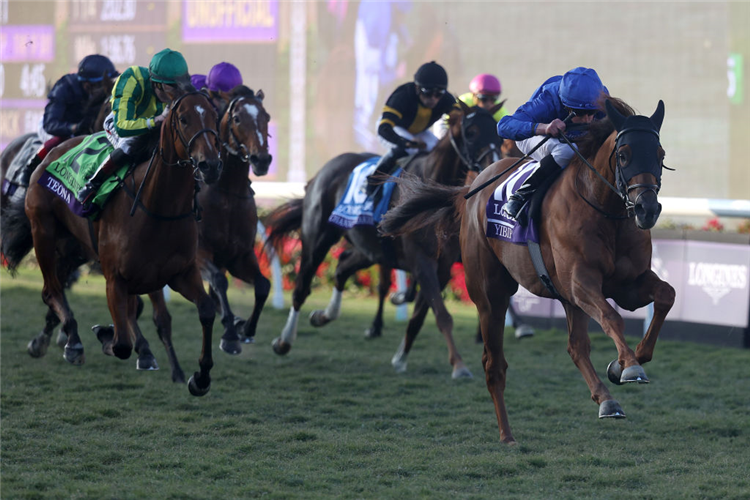 YIBIR winning the Breeders' Cup Turf at Del Mar in California.