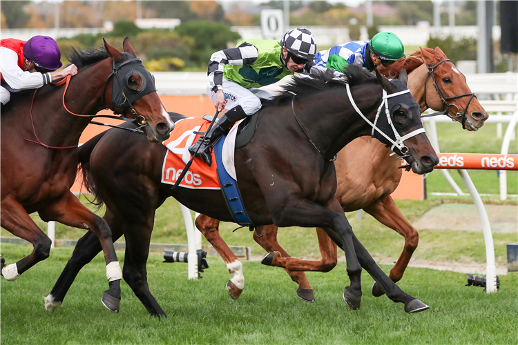 Yonkers Wins Cyclotek Handicap Post Race Trainer And Jockey Quotes Racing and Sports