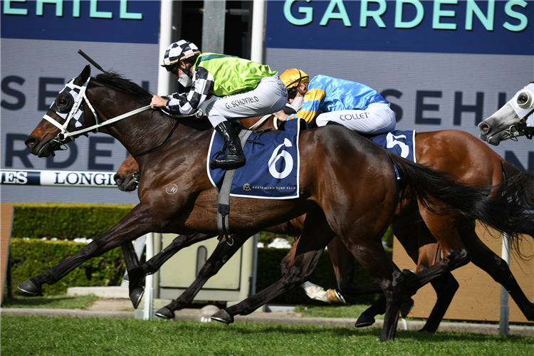 YONKERS winning the Shannon Stks at Rosehill in Australia.