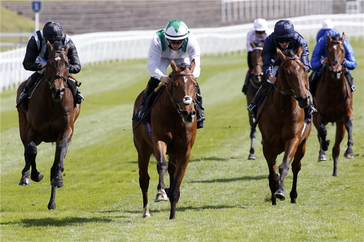 YOUTH SPIRIT winning the Chester Vase Stakes (Group 3)