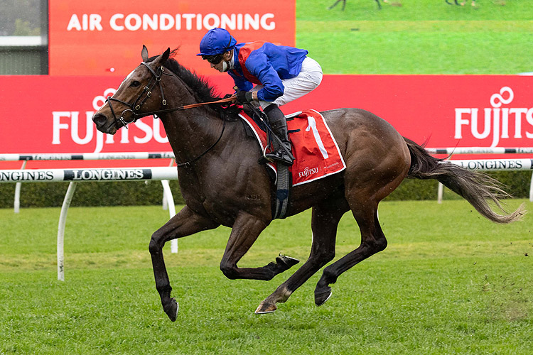 ZAAKI winning the Fujitsu General Tramway Stakes