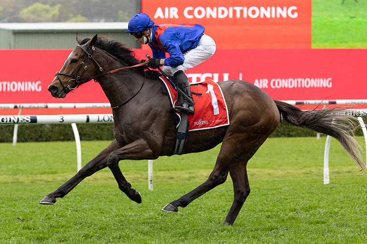 ZAAKI winning the Fujitsu General Tramway Stakes