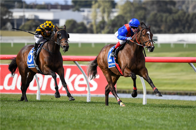 ZAAKI winning the Underwood Stakes at Sandown in Australia.