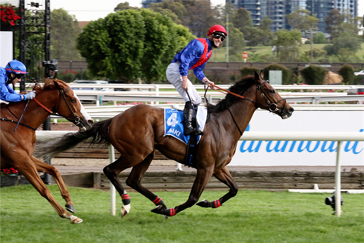 ZAAKI winning the Paramount Plus Mackinnon Stakes at Flemington in Australia.