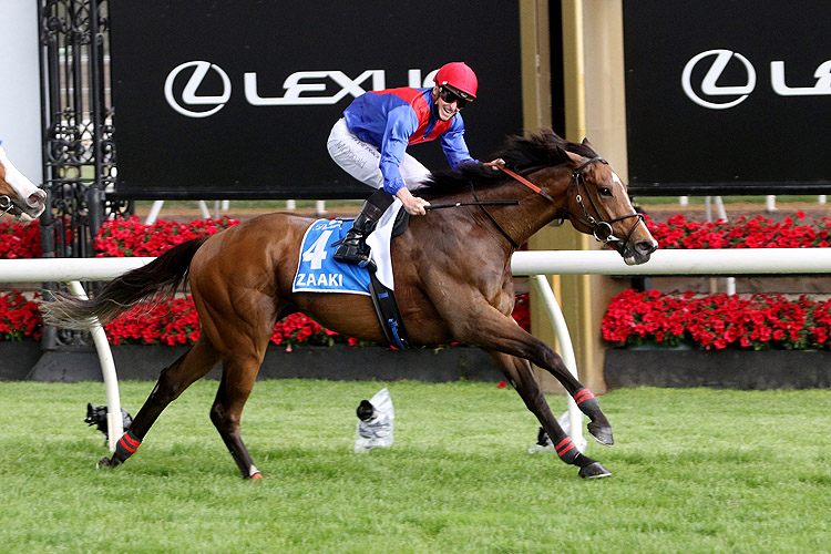 ZAAKI winning the Mackinnon Stakes