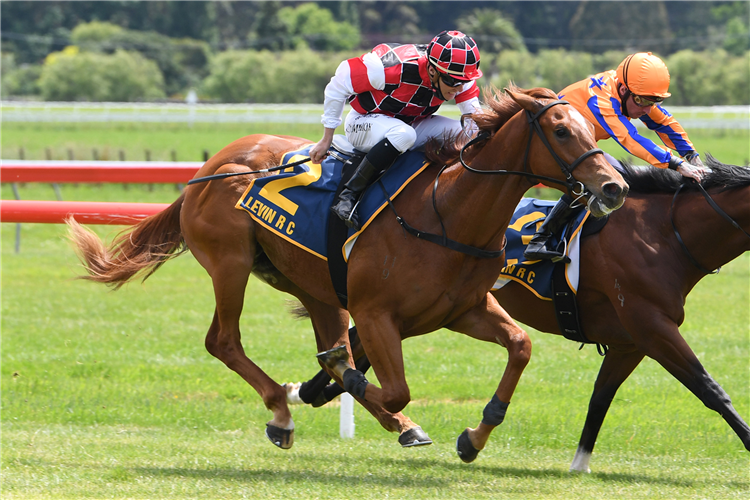 ZAHER winning the Levin Tab & Sports Bar 2yo