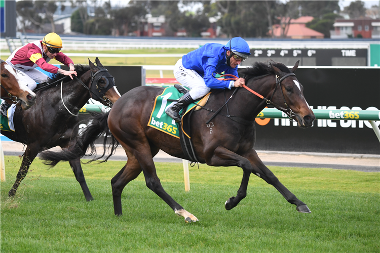 ZAPATEO winning the Geelong Homes Two-Years-Old Fillies Maiden Plate in Geelong, Australia.